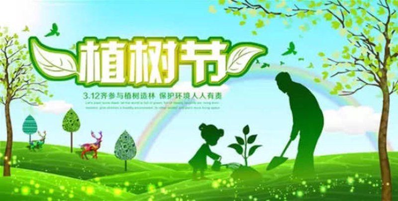 在线投资理财：新时代金融生活的新趋势